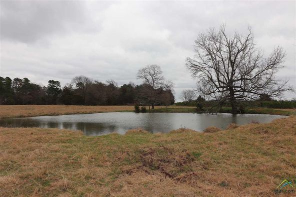 tbd cr 4114: tbd cr 4114, Pittsburg, TX 75686